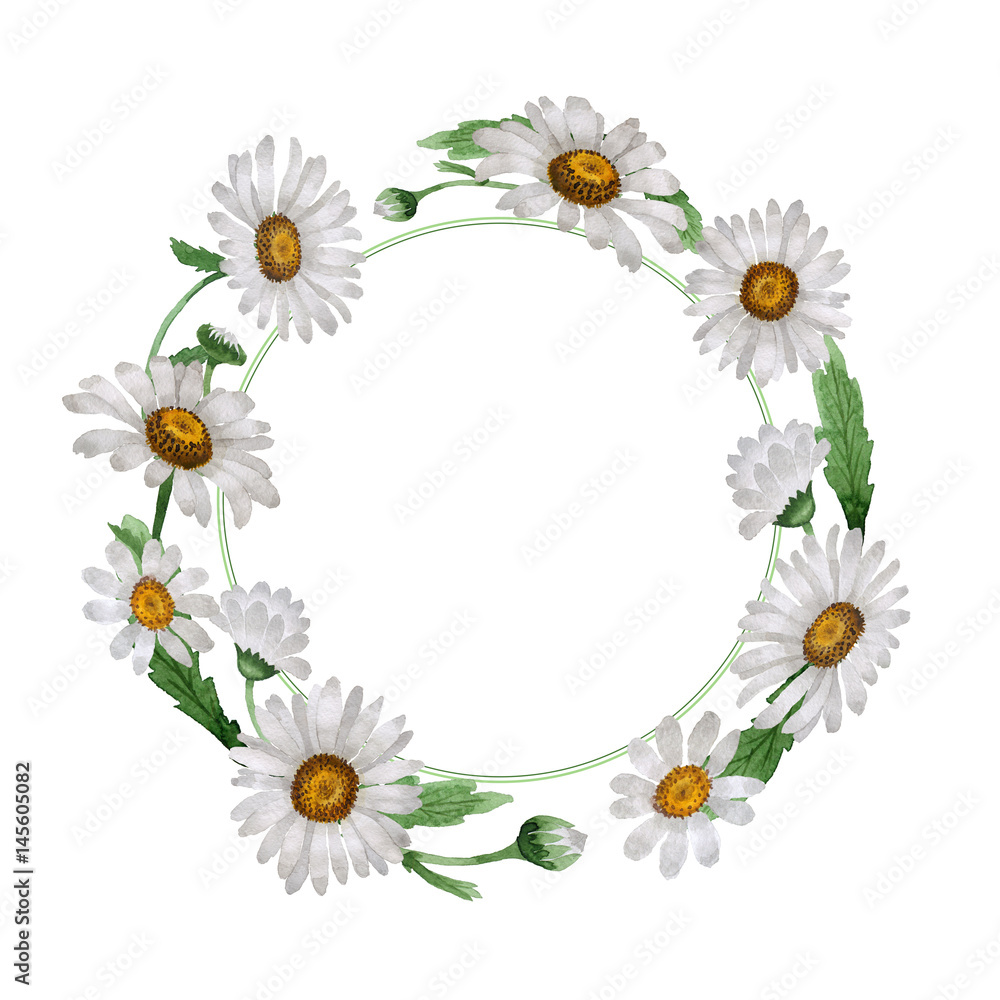 Wildflower chamomile flower wreath in a watercolor style isolated. Wildflower chamomile flower wreath in a watercolor style isolated.