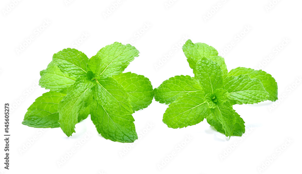 Mint leaves isolated on white background Mint leaves isolated on white background