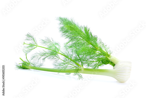 Fennel isolated on white background