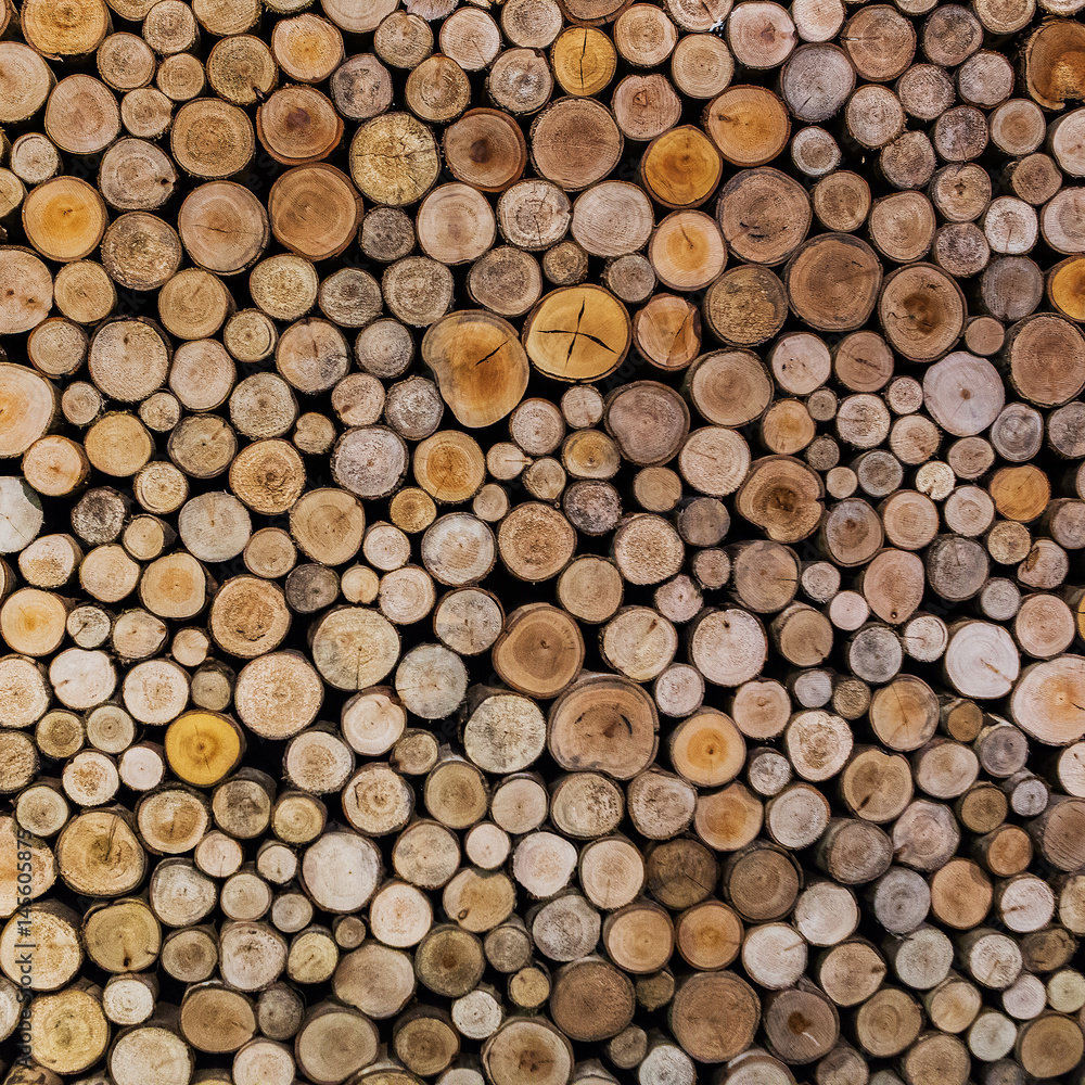 Log on wallpaper for background and texture Log on wallpaper for background and texture