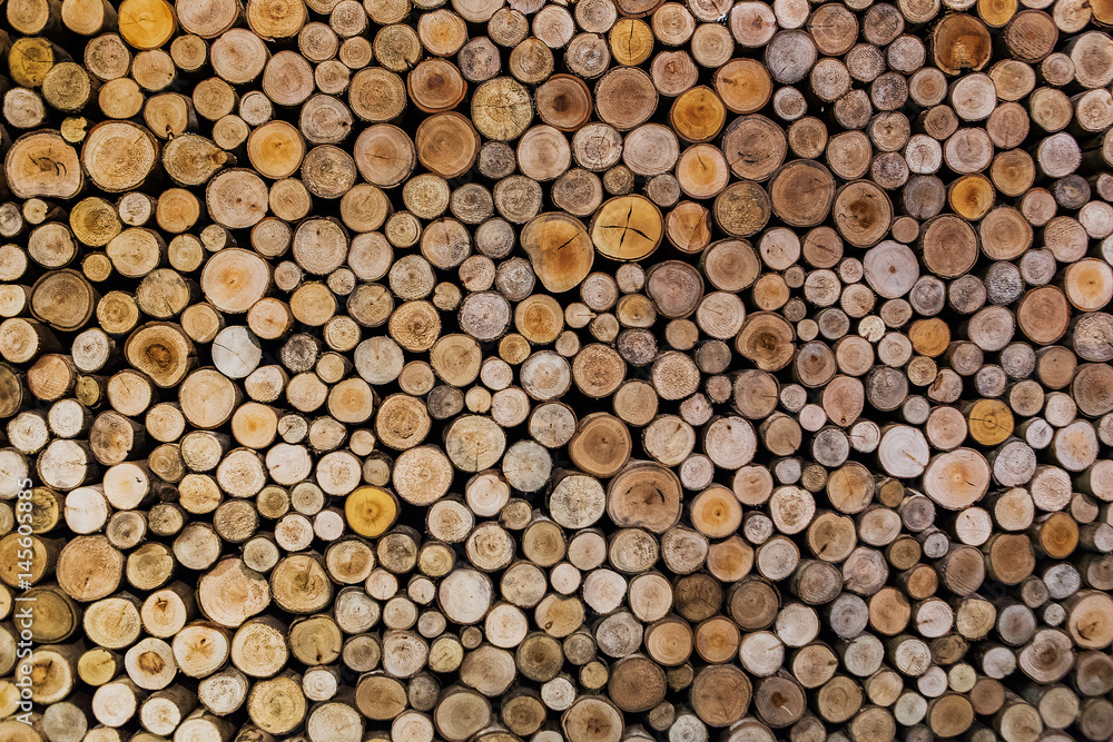 Log on wallpaper for background and texture Log on wallpaper for background and texture