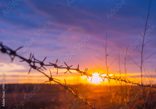 Fence with barbed wire on the background of the bright sunset