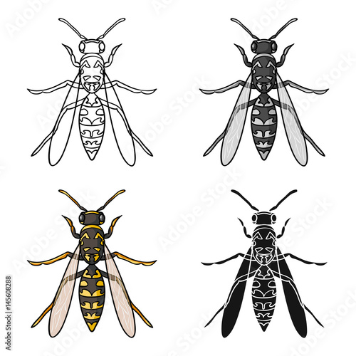 Wasp icon in cartoon style isolated on white background. Insects symbol stock vector illustration.