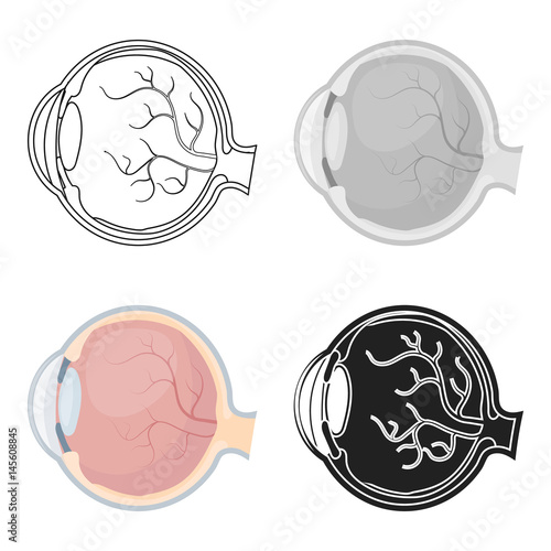 Eyeball icon in cartoon style isolated on white background. Organs symbol stock vector illustration.