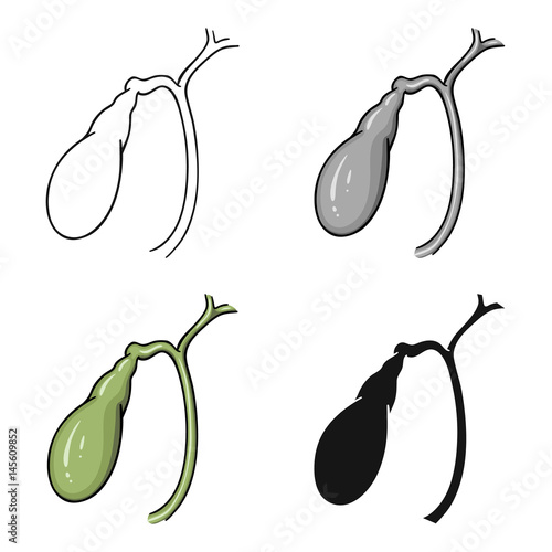 Human gallbladder icon in cartoon style isolated on white background. Human organs symbol stock vector illustration.