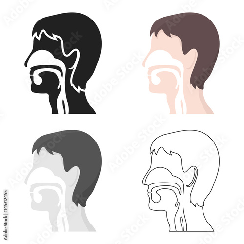 Respiratory system icon cartoon. Single medicine icon from the big medical, healthcare cartoon.