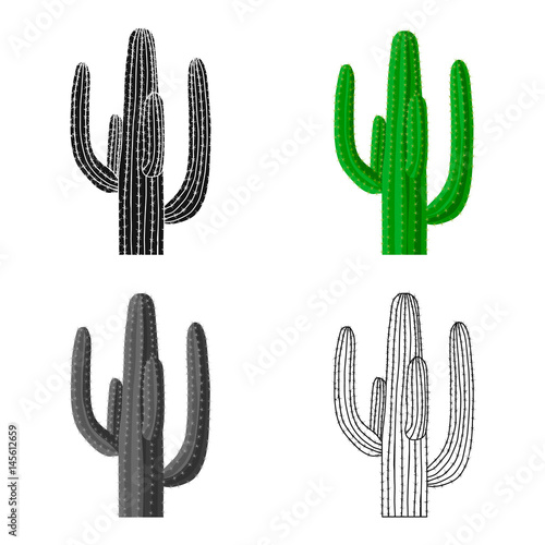 Mexican cactus icon in cartoon style isolated on white background. Mexico country symbol stock vector illustration.