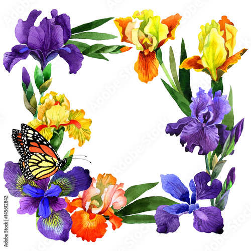 Fototapeta Naklejka Na Ścianę i Meble -  Wildflower iris flower frame in a watercolor style isolated.