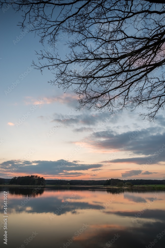 Evening landscape over the pond with few trees and branches Evening landscape over the pond with few trees and branches