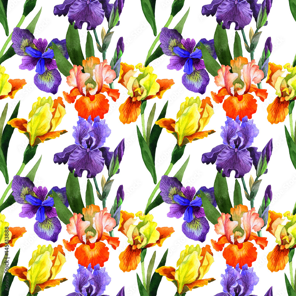 Wildflower iris flower pattern in a watercolor style isolated. Wildflower iris flower pattern in a watercolor style isolated.