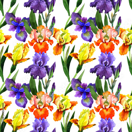Fototapeta Naklejka Na Ścianę i Meble -  Wildflower iris flower pattern in a watercolor style isolated.