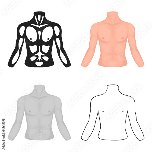 Chest icon in cartoon style isolated on white background. Part of body symbol stock vector illustration.