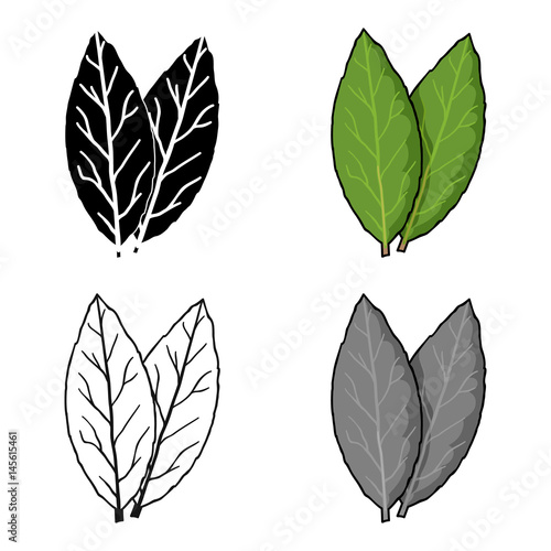 Laurus icon in cartoon style isolated on white background. Herb an spices symbol stock vector illustration.