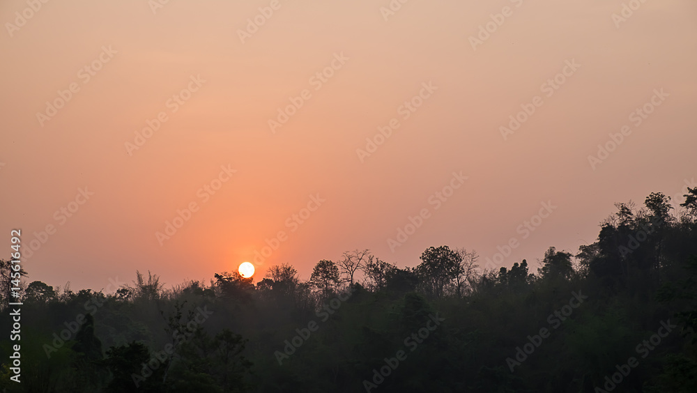 Fototapeta premium sunrise in the forest