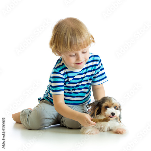 Child feeds dog puppy isola...