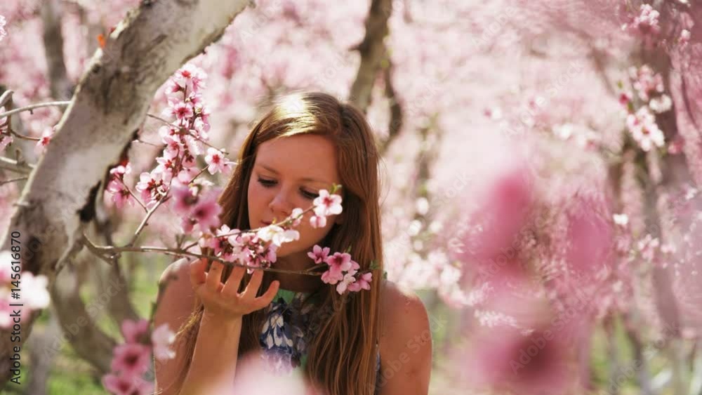 slow motion, girl admiring pink blossoms in orchard slow motion, girl admiring pink blossoms in orchard