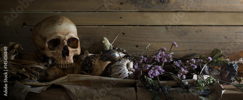 Skull on pile of dry fruits and flowers on the plank for header, banner, cover photo