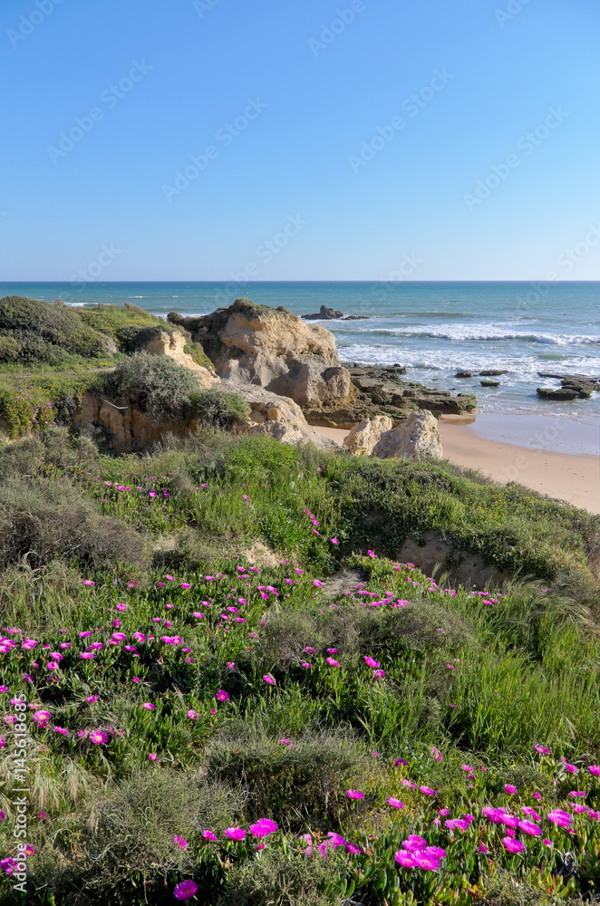 Scene captured in Chiringuitos (Gale) beach during afternoon. Algarve, Portugal