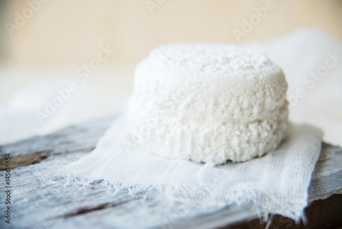 Set of cheese on wooden background