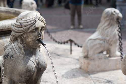 Fountain detail in Bergamo