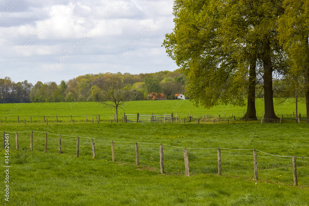 Fence in a meadow in a rural area of Lower Rhine