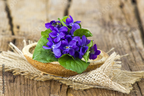 Foto Viola odorata -  spring flowers bouquet