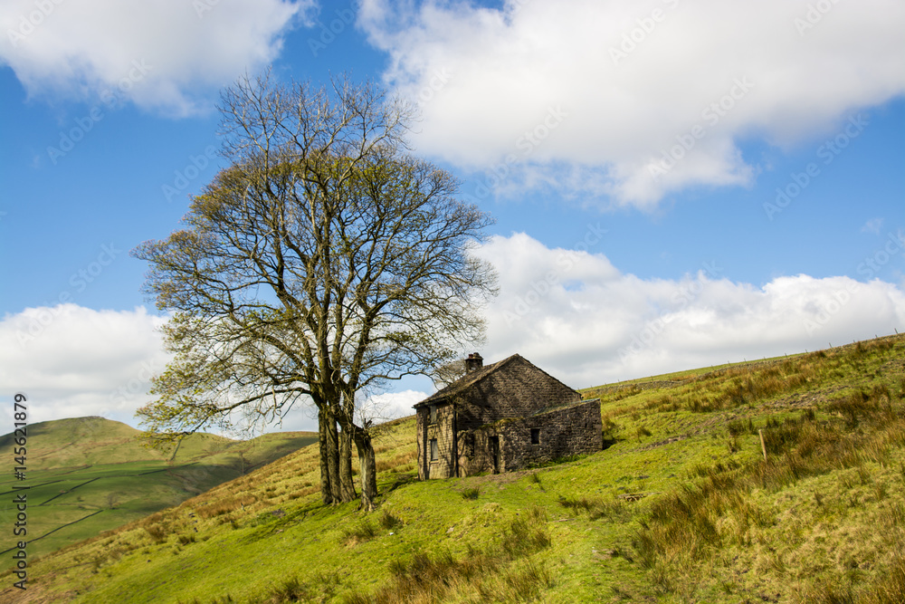 Lonely house Lonely house