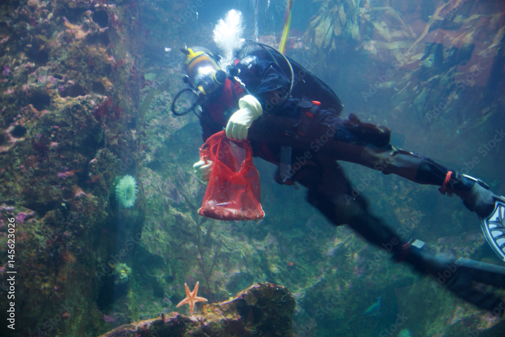 SEATTLE, WASHINGTON, USA - JAN 23rd, 2017: Scuba Diver swimming to large underwater viewing window in the Seattle aquarium and feeding fish SEATTLE, WASHINGTON, USA - JAN 23rd, 2017: Scuba Diver swimming to large underwater viewing window in the Seattle aquarium and feeding fish