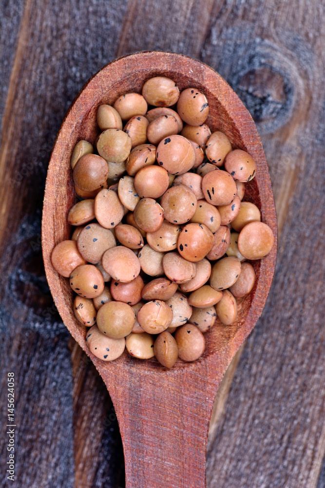 Brown lentils in a spoon Brown lentils in a spoon