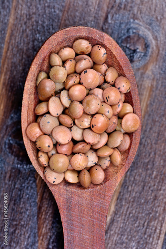 Brown lentils in a spoon