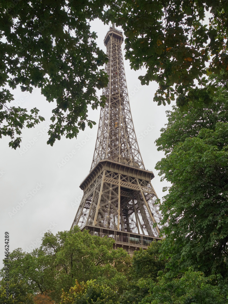 The Eiffel Tower seen from behind a couple of trees