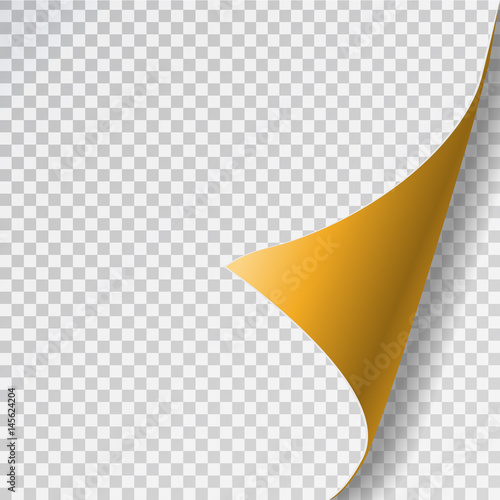 Vector realistic yellow paper page curl on the transparent background.