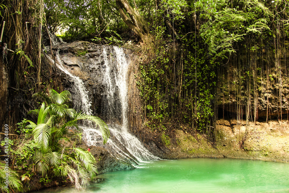 Naklejka premium Rainforest waterfall in the deep jungles. Background shot.