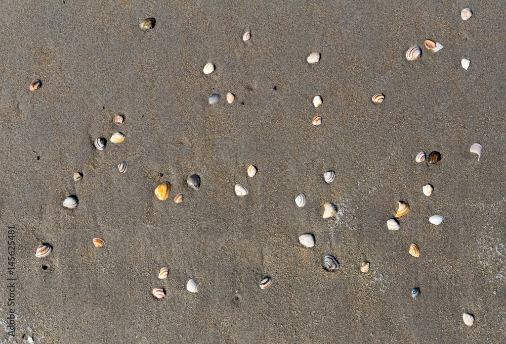 Scheveningen Scheveningen