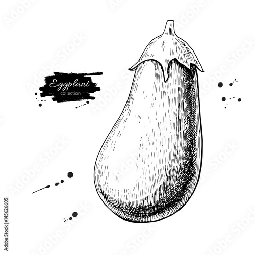 Eggplant hand drawn vector illustration. Isolated Vegetable engraved style object. Detailed vegetarian food