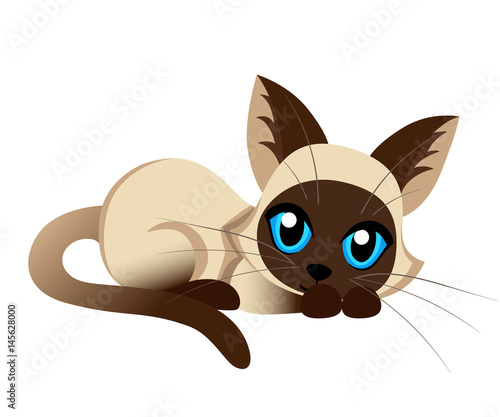 Siamese cat the Lovely kitten with blue eyes fluffy on a white background spotty a pet Cat breeds cute pet animal set vector illustration