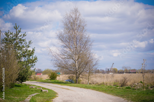 Wallpaper Mural Загородный пейзаж с дорогой Torontodigital.ca