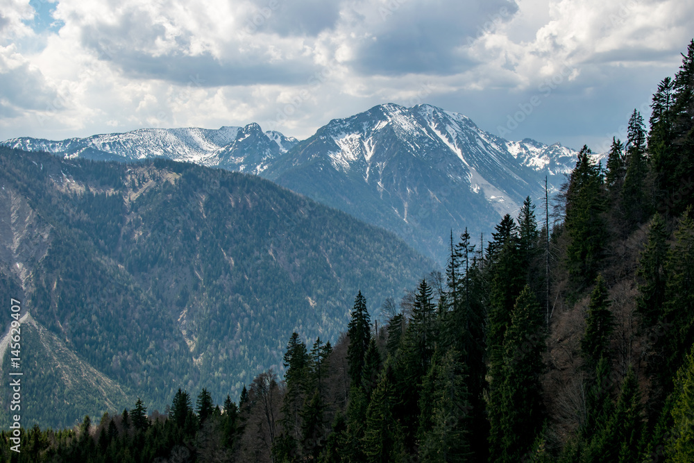 Ausblick auf die Alpen mit einem Wald im Vordergrund bei bewölktem Wetter Ausblick auf die Alpen mit einem Wald im Vordergrund bei bewölktem Wetter