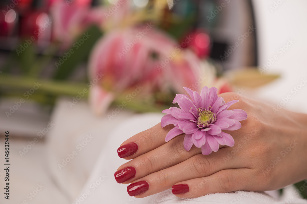 Fototapeta premium woman fingers with french manicure