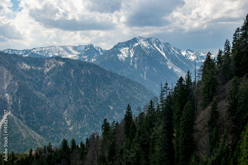 Ausblick auf die Alpen mit einem Wald im Vordergrund bei bew  lktem Wetter