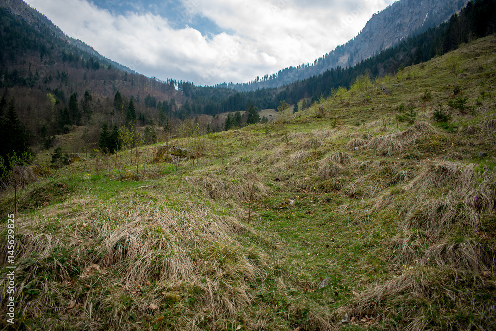 Obraz premium Blick auf die Berge bei bewölktem Wetter mit einer Wiese im Vordergrund