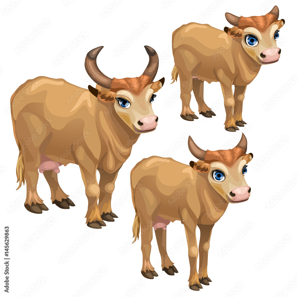 brown cow clipart