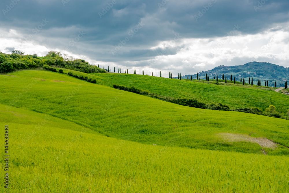 Naklejka premium Panorama of Volterra's lands and hills in the spring