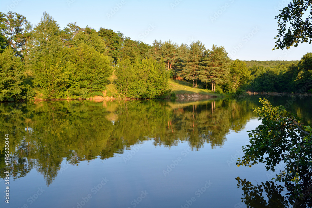 forest lake forest lake