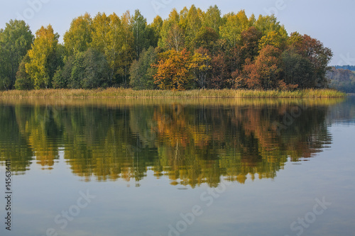 Golden autumn. Deciduous trees painted in yellow and scarlet color  the Trees grow on the island and there is a reflection in the water. Filmed in mid-October in Belarus.