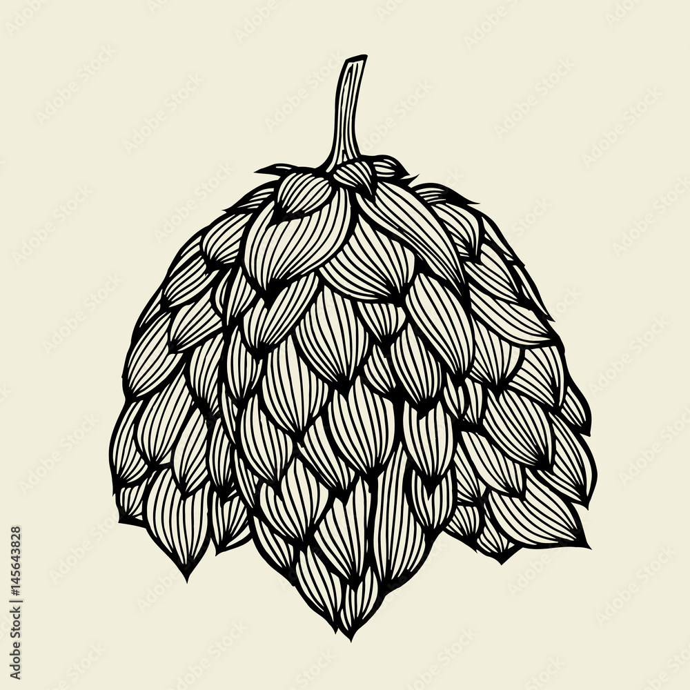 Fototapeta premium Beer hop illustration