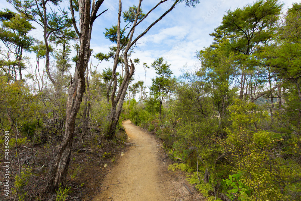 Fototapeta premium Wander Pfad im Abel Tasman National Park