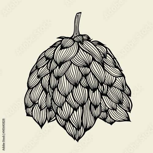 Beer hop illustration