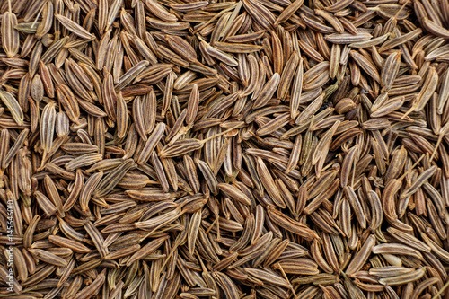 cumin seed dry aromatic spice, food background photo