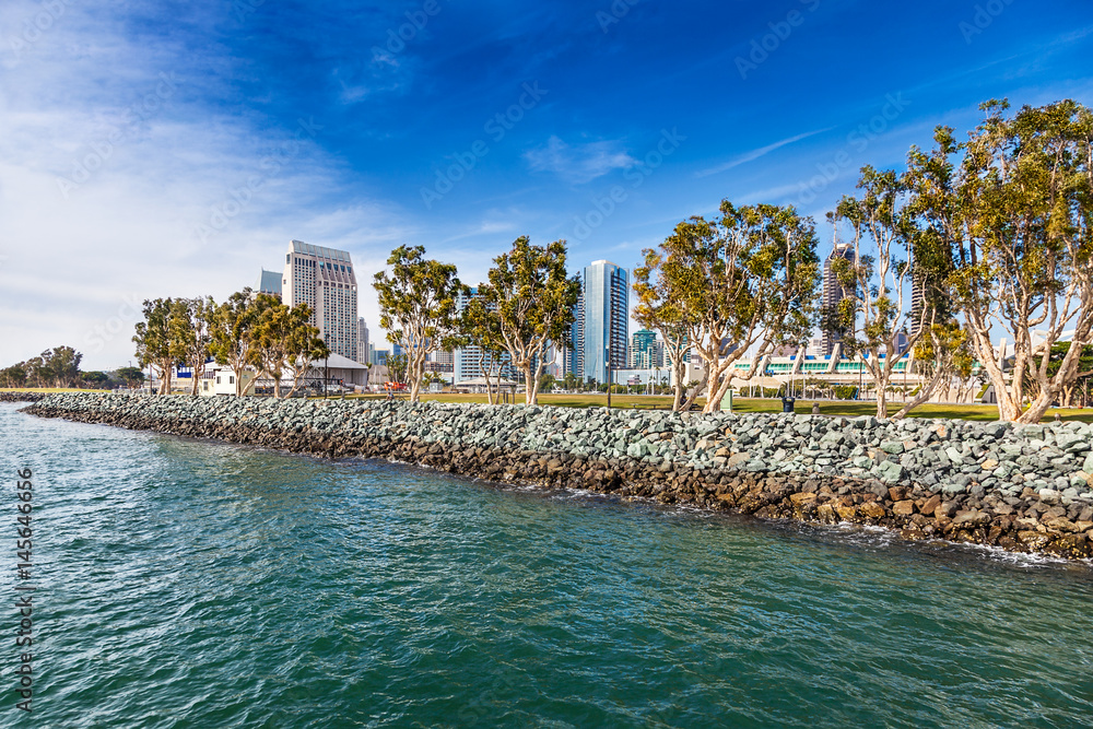Eucalyptus trees line the edge of Embarcadero Park South in downtown San Diego, viewed from San Diego Bay. Convention Center and hotels in the background